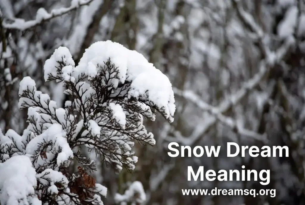 Snow Dream Meaning Snow Dream Meaning