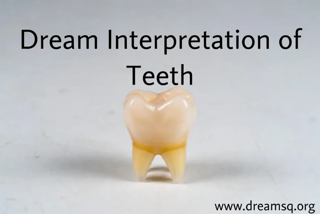 Dream Interpretation of Teeth, Dreaming of Teeth Falling Out, Dreaming of Broken Teeth, Dreaming of Tooth Extraction, Dreaming of Toothache, Dreaming of White Strong Teeth, Dreaming of Rotten Teeth, Dreaming of Lower Teeth, Dreaming of Upper Teeth, Dreaming of Gold Teeth, Dreaming of Black Teeth, Dreaming of New Teeth Growing, Dreaming of Shiny Gleaming Teeth, Dreaming of Dirt Between Teeth, Dreaming of Gums, Dreaming of Shaking Teeth, Dreaming of Teeth Falling Out and Disappearing, Dreaming of Someone Else’s Teeth, Dreaming of Artificial Teeth, Dreaming of New Teeth Replacing Old Ones